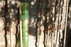 bouteilles anti limaces