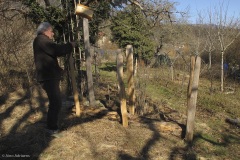 clôture et abri pour hérisson