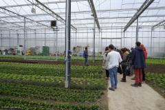 visite ferme ddes Bottés à Rances, avec Groupe d'intérêt microfermes du FIBL