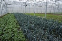 visite ferme ddes Bottés à Rances, avec Groupe d'intérêt microfermes du FIBL