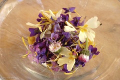 glaçons fleuris