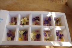 glaçons fleuris