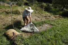 Comment créer une prairie maigre dans son jardin. Une surface de terrain a été recouverte pendant quelques mois d'une bâche qui étouffe la végétation.