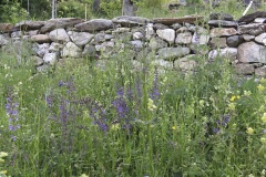 fête de la nature au jardin les 25 et 26 mai 2019