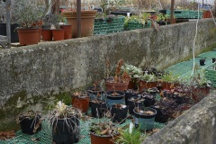 Les jardins du Nant, GY