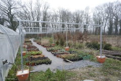 Les jardins du Nant, GY