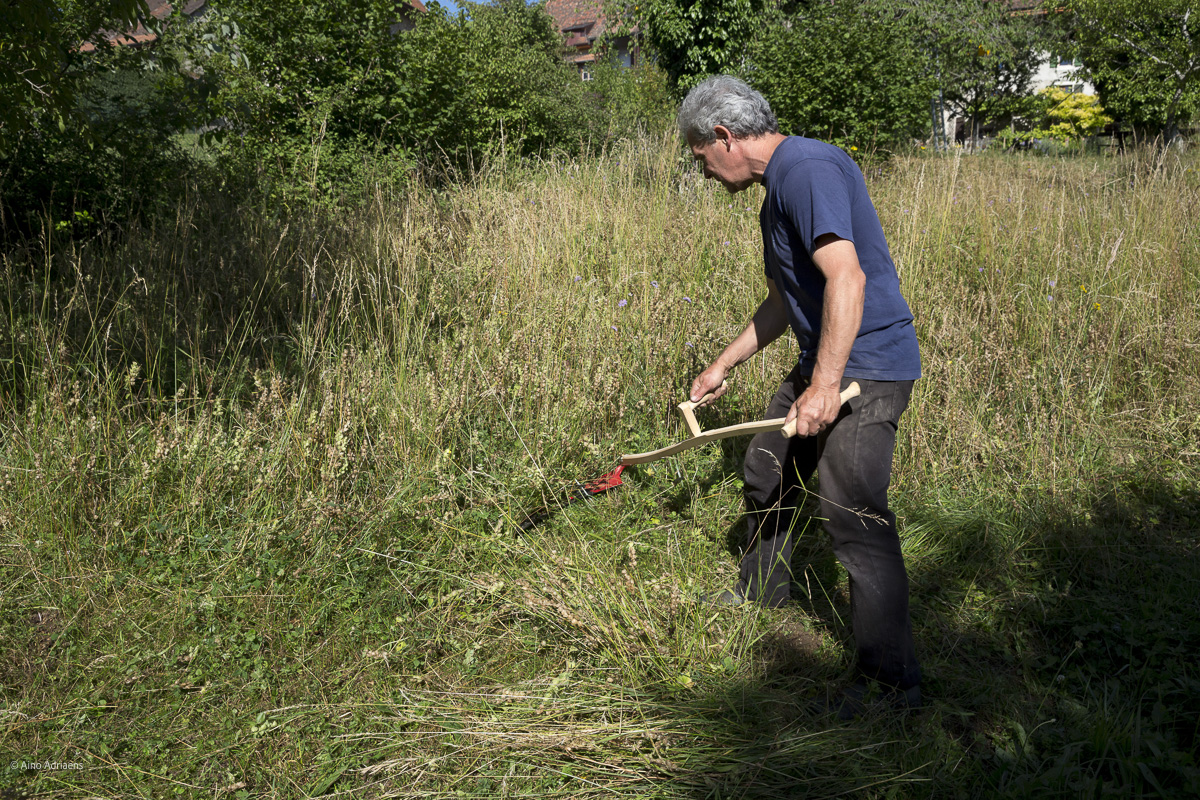 Prairie, travail à la faux