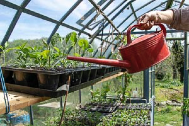 Vacances sereines grâce à nos «garden-sitter»