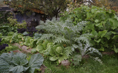 Introduction à la permaculture et applications au jardin