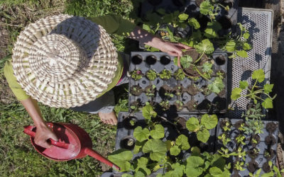 Nos ateliers printemps-été 2026 sont en ligne!