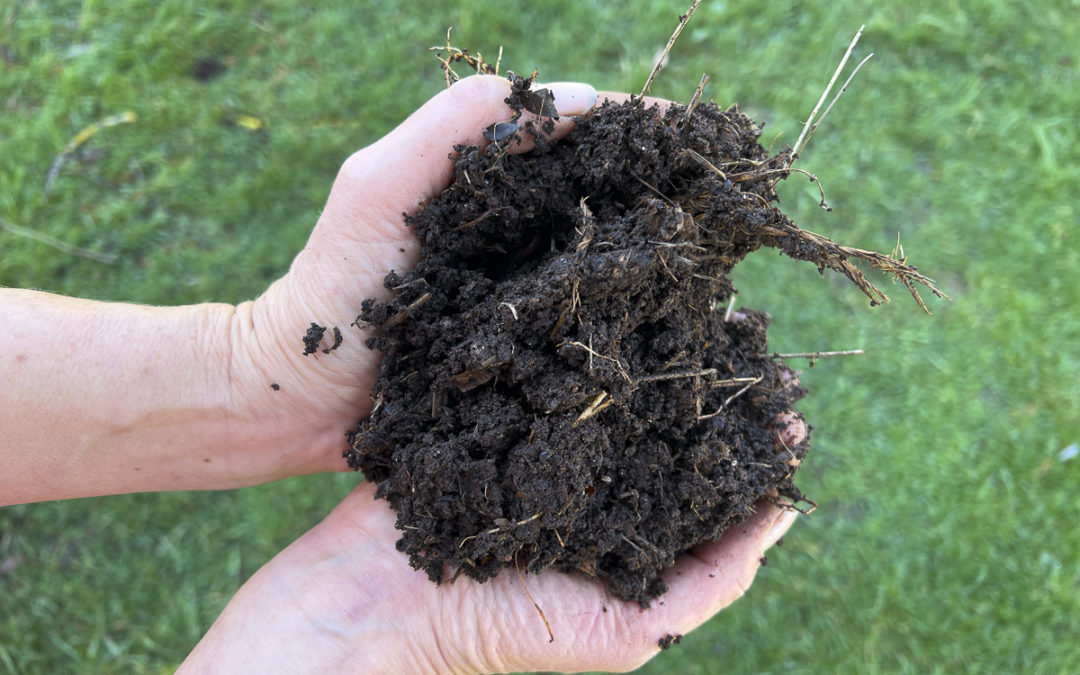 Du fumain plein les mains