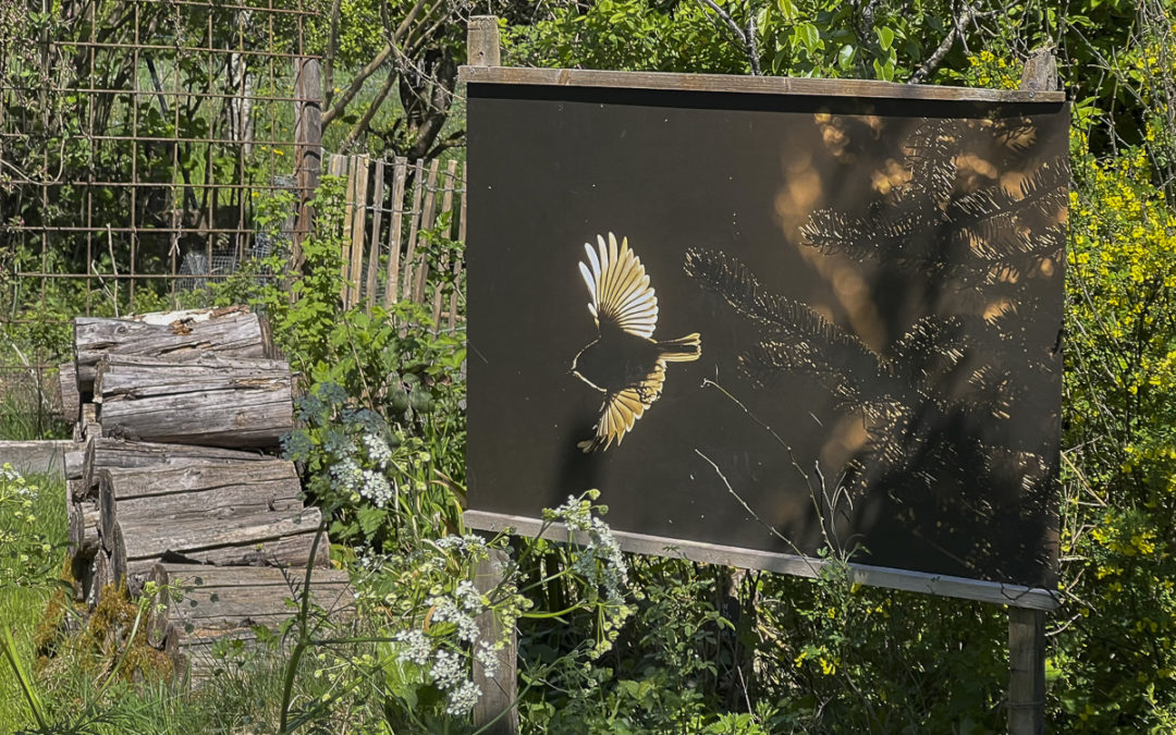 Fêtons la nature au Jardin sauvage!